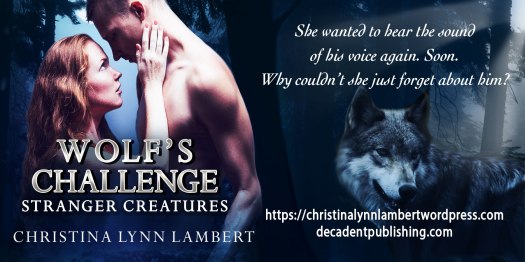 graphic teaser for WC for website use